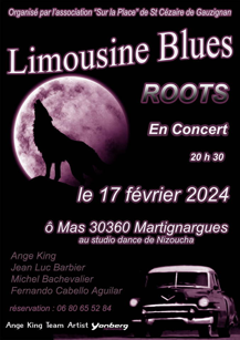 Limousine Blues en concert