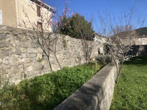 Le jardin au printemps