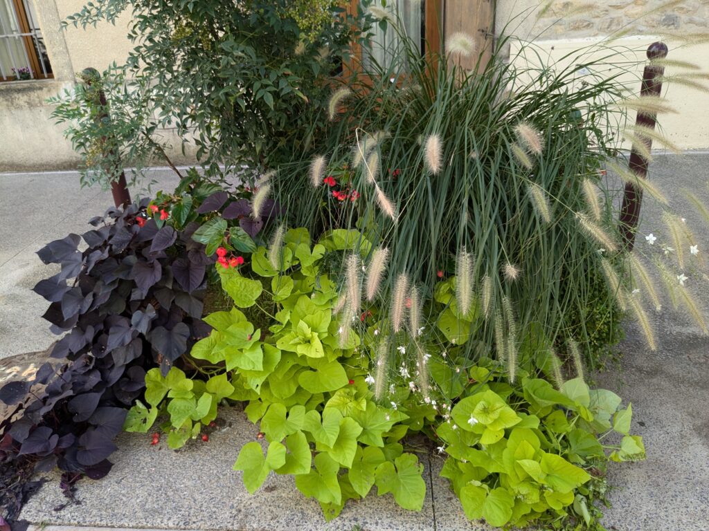 Jardinières à Quissac