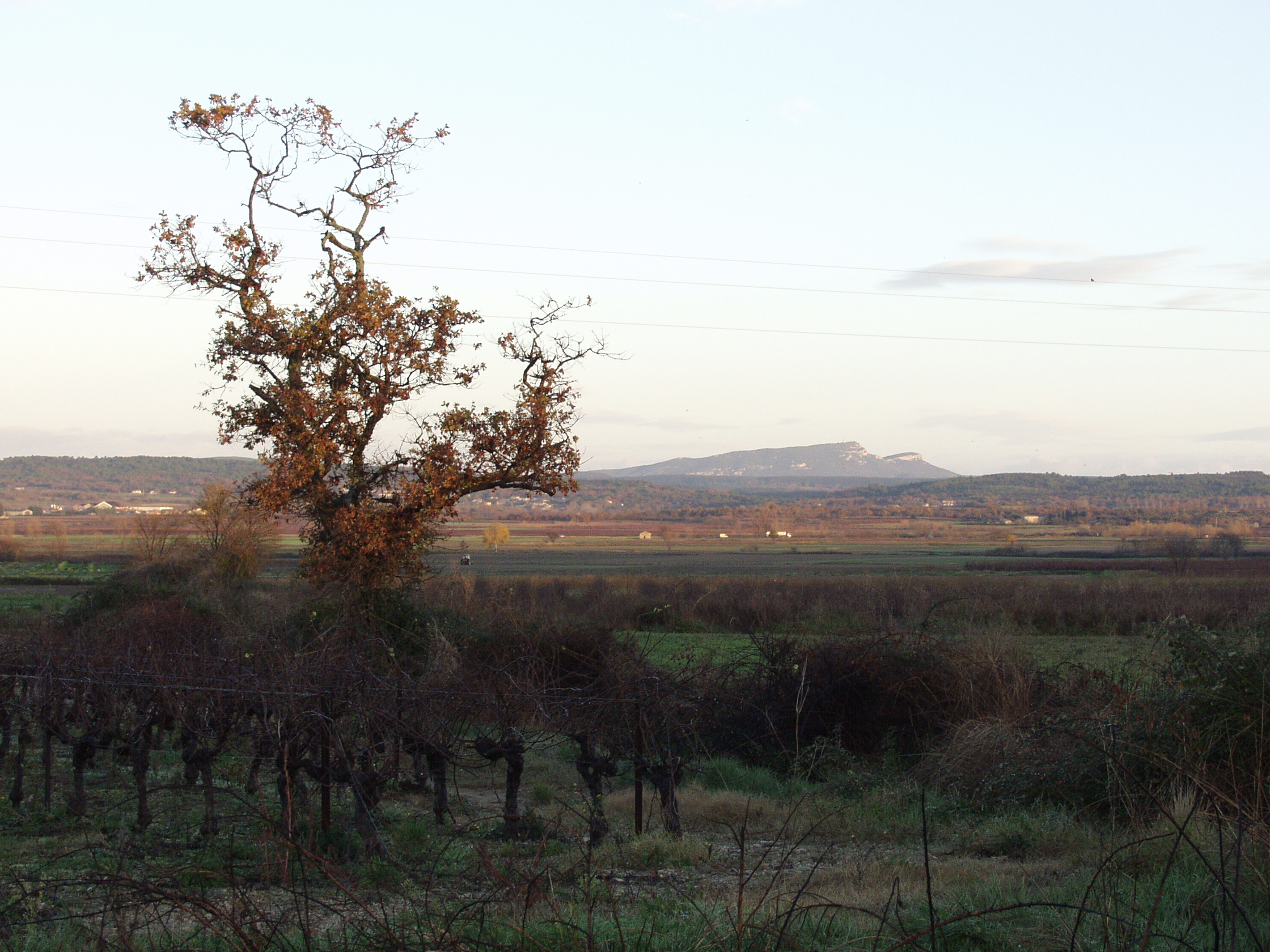 La plaine du Gardon vers Dions