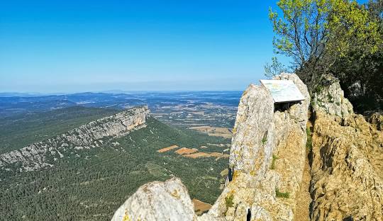 Pic St Loup