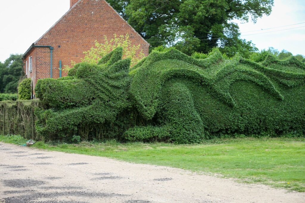 Le dragon-haie