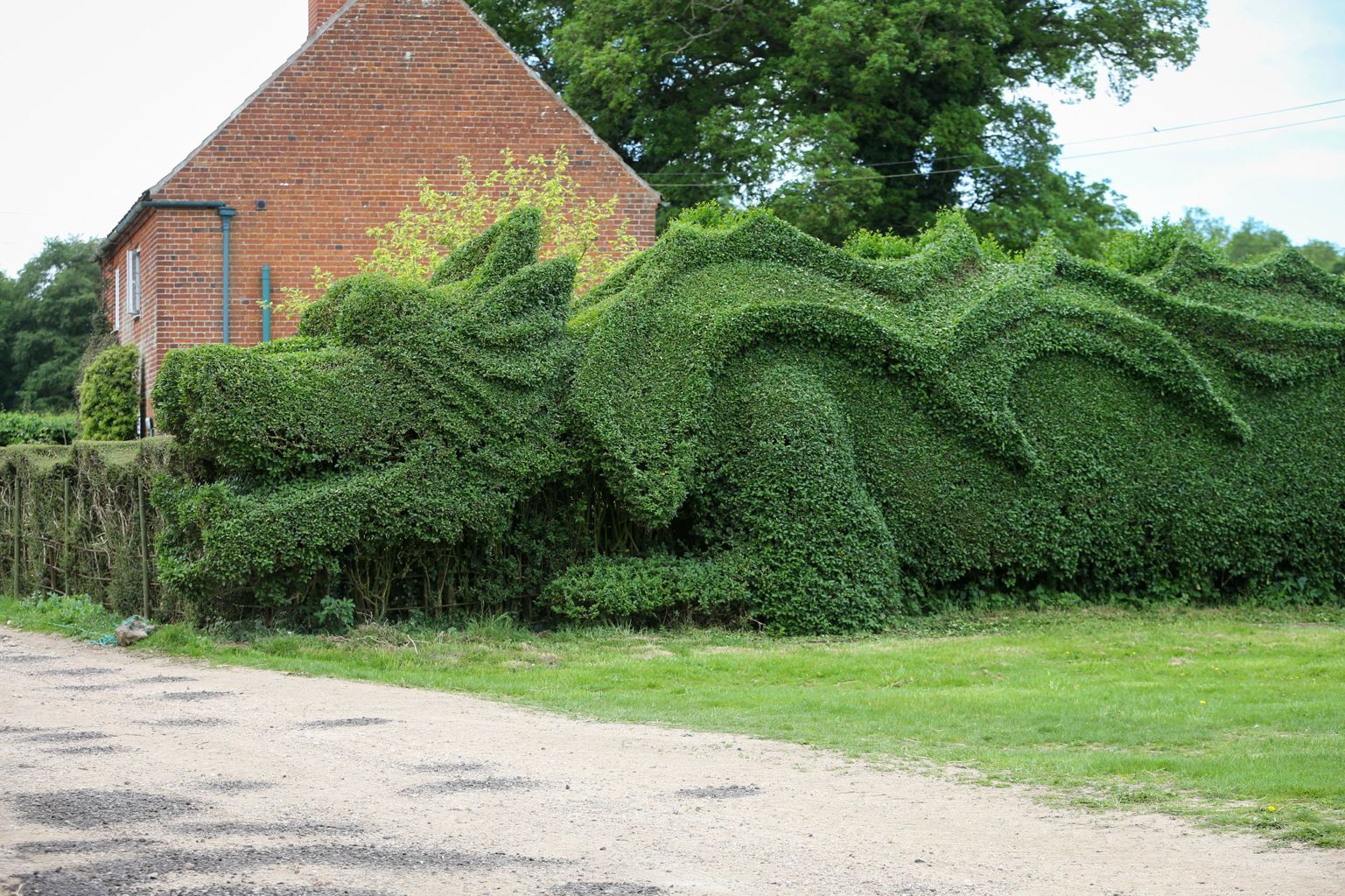 Le dragon-haie