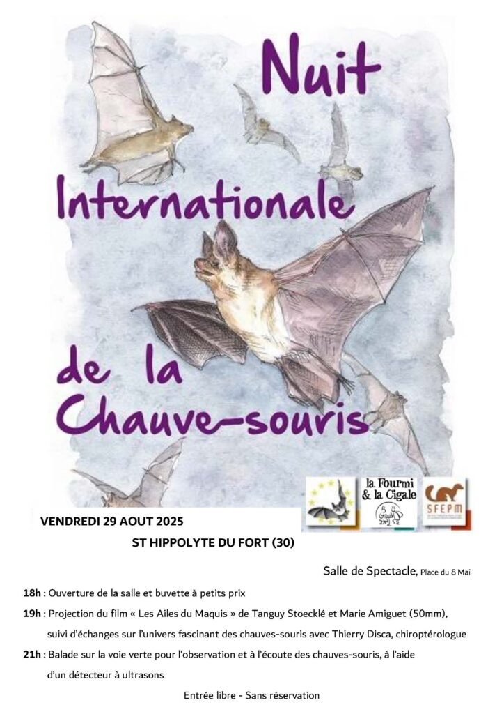 Affiche Nuit de la chauve-souris 2025