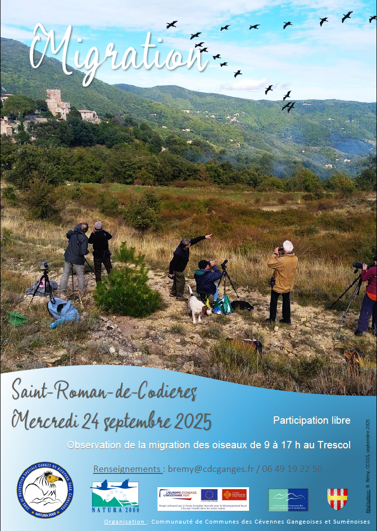 oiseaux migrateurs