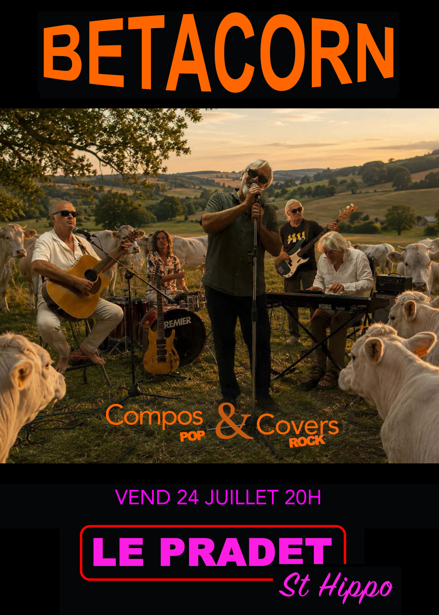 AFFICHE LE PRADET