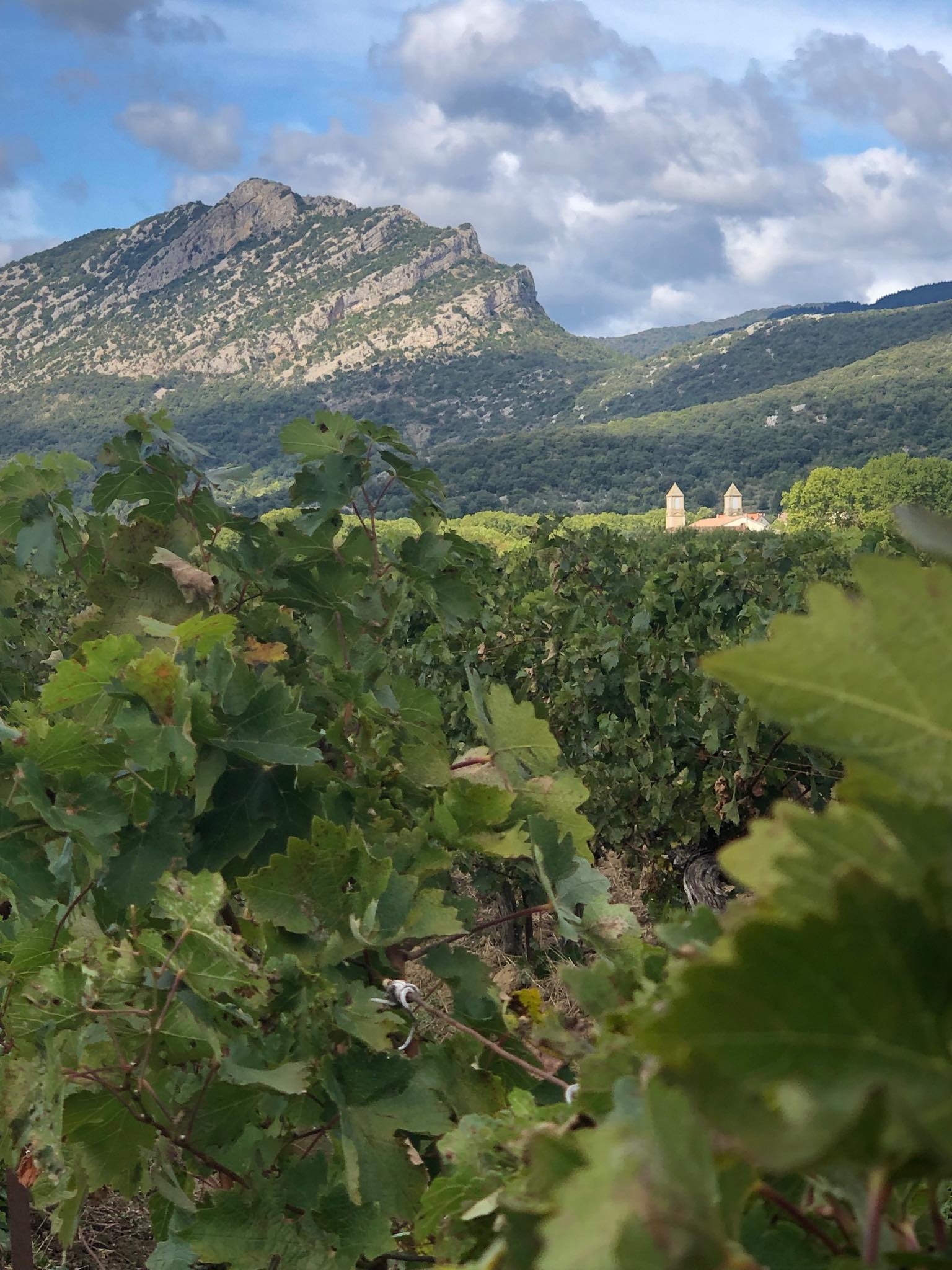 Photo Jeroen van der Goot