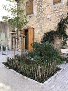 Planter pour demain