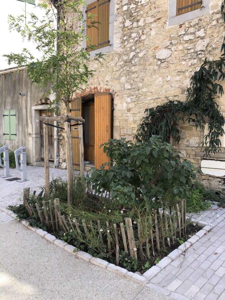 Planter pour demain